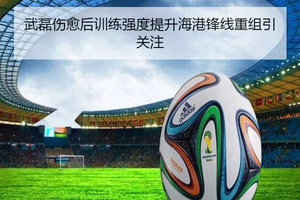武磊伤愈后训练强度提升海港锋线重组引关注 | ODSPORTS